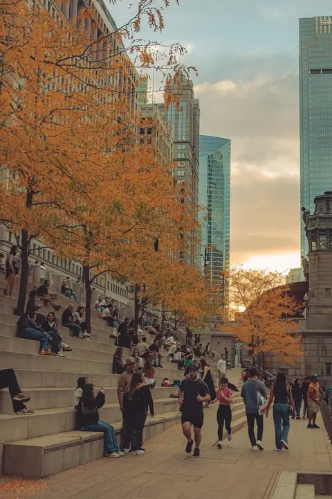 People on the Chicago Riverwalk steps under golden autumn trees